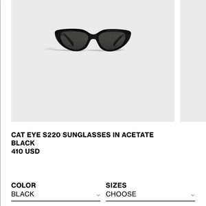 Brand new Celine sunglasses. New season. Retail $410.